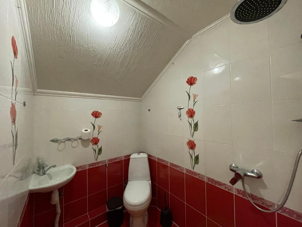 Villa Aeroport Розовый Дом Chişinău Eksteriør billede